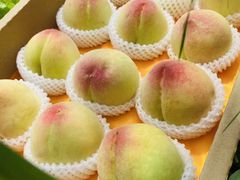 -老袁家蜜桃农场·阳山水蜜桃