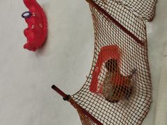 -Mr·Kuma酷么先生雪之乐园