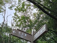 -光雾山旅游景区