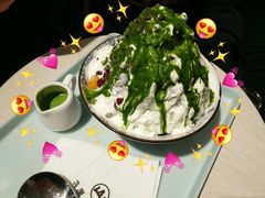 -王守财小山園