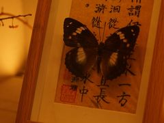 -溯洄咖啡VORTEX COFFEE