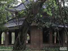 -中山大学学者灵芝(园南路店)