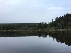 -五营红松林海景区