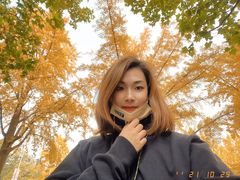 -三里屯东五街银杏大道
