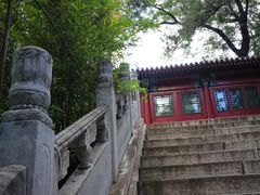 -北京鹫峰国家森林公园