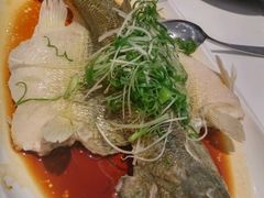 -至潮餐厅精致粤菜·活鲈鱼·走地鸡(珠江新城店)