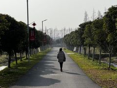 -上海长兴岛郊野公园