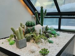 -大树餐厅(红旗街万达店)