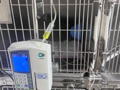 -联合动物医院(光谷诊疗中心)