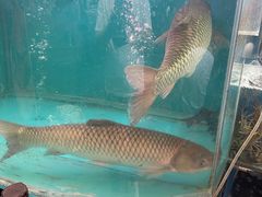 -红日饭店(裕隆三路店)