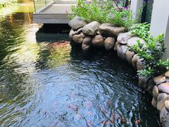 -寻味顺德·顺峰山庄(大良店)