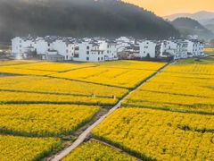 -婺源风景区