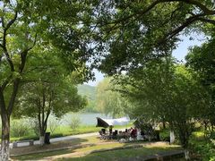 -长广溪湿地公园