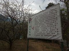 -广州市流溪河国家森林公园