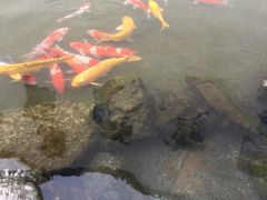 -章太炎故居