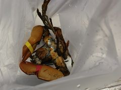 -盒马鲜生(大成店)