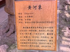 -陕西自然博物馆