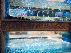 -海鲜潮·株洲海鲜集市(栗雨店)