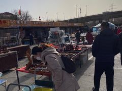 -中环花鸟鱼虫市场