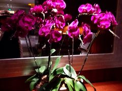 iphone_upload_pic-昆明佳华广场酒店·西餐厅