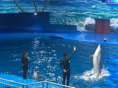 -多彩贵州城极地海洋世界