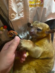 -Zoolung Zoolung动物主题公园(海信广场店)