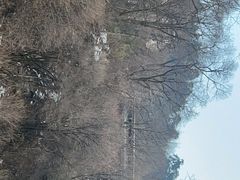 -终南山国家森林公园