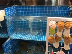 -涿派·炝锅鱼(涿州店)