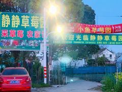 -小鱼草莓采摘园农家乐·小鱼餐厅