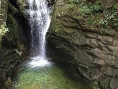 -牛背梁国家森林公园