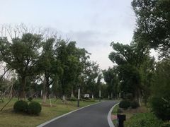 -九科绿洲