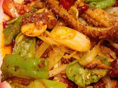 -柴窝堡22号辣子鸡·传承新疆菜