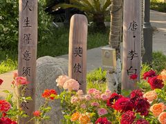 -后海彼岸花园餐厅