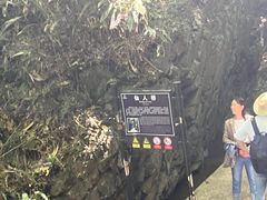 -藏龙百瀑风景区