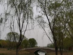 -东郊湿地公园