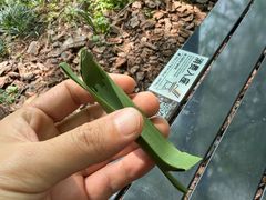 -台州博物馆