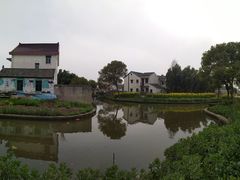 -阿林有机农庄