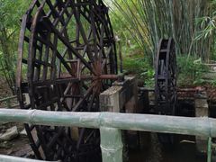 -大屏嶂森林公园