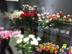 -ROSEONLY诺誓(青岛万象城店)