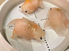 -8餐厅(新葡京酒店)