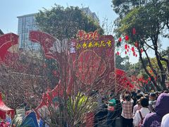 -越秀西湖花市(广州城市广场花卉店)
