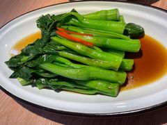 -南枝记
