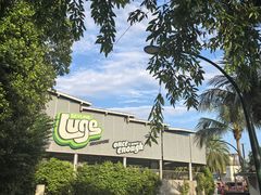-圣淘沙天际线斜坡滑车