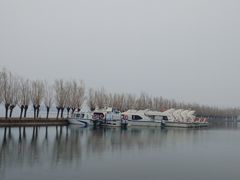 -白洋淀景区