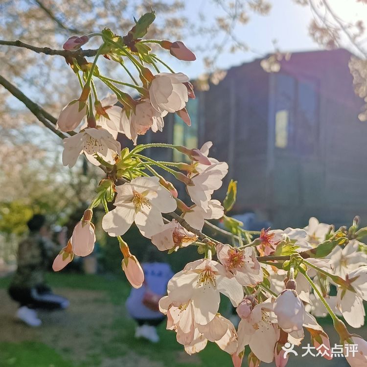 趁着蓝天去就对了