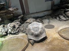 -杭州野生动物世界