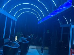 -绿树电竞(五路店)