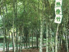-兰亭风景区