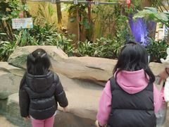 -杭州开元森泊度假乐园