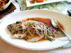 豉油海参斑-威海铂丽斯国际大酒店(威海高铁站店)